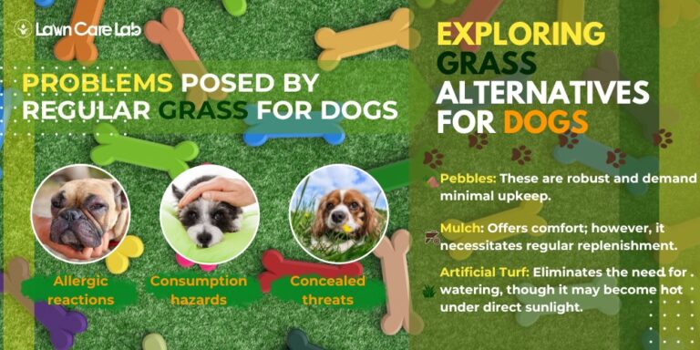 Budget-Friendly Dog Backyard: Innovative Ideas and Grass Alternatives ... - Dog Grass Substitutes