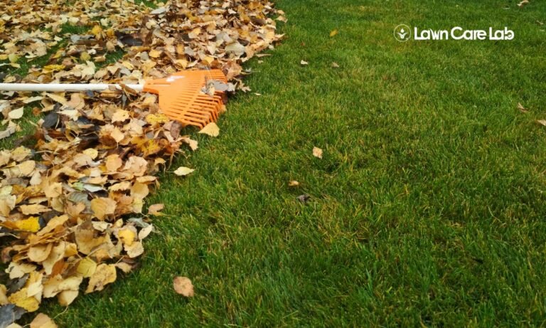 Complete Fall Lawn Care Guide: September Maintenance Tips for a Healthy ...