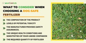 Illustration of Green Grass Consumption In Dogs