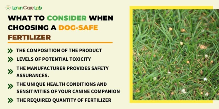 Discover Dog-Friendly Lawn Fertilizers: Safe and Effective Solutions ...