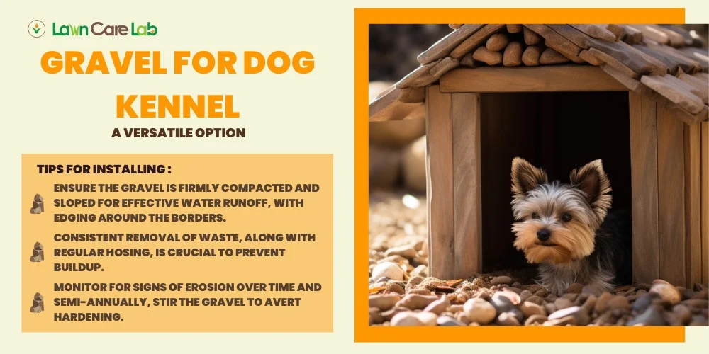 Tips on Making Dog Kennel with Gravel