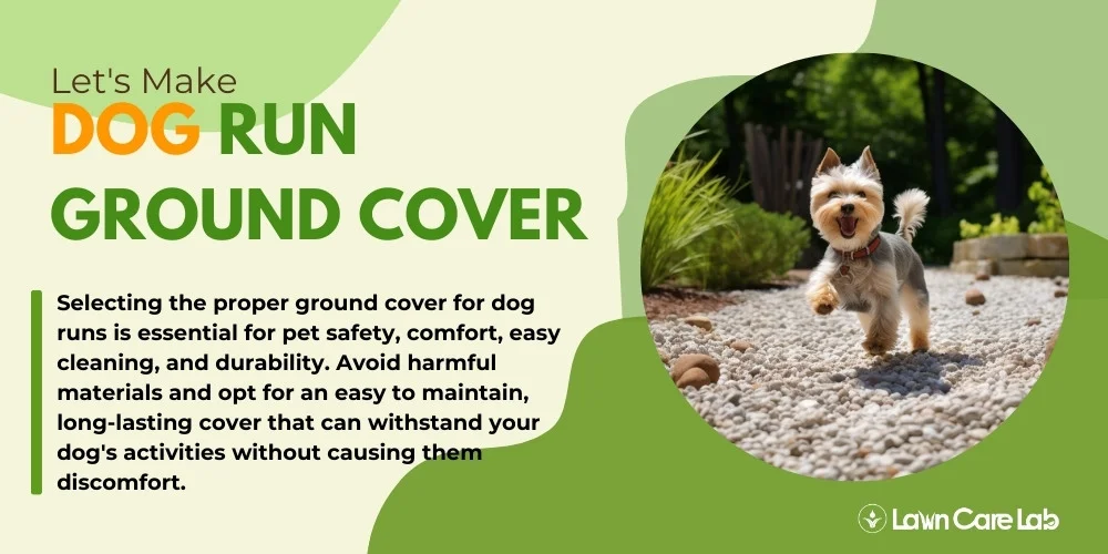 Introduction to Dog Run Ground Cover