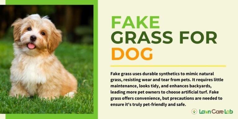 Stunning Year Round Dog Grass Access Requirements image