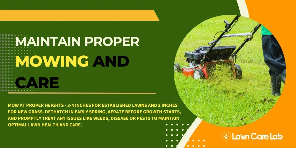 Proper Way to Maintain Mowing and Lawn Care.