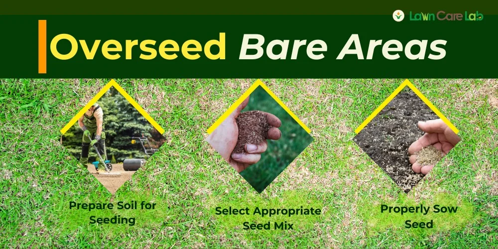 Process of Over seeding in Bare Areas.