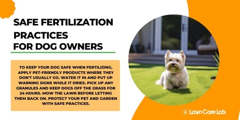 Discover Dog-Friendly Lawn Fertilizers: Safe and Effective Solutions ...