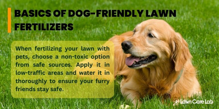 Curated visual reference: Fresh Look at Discover Dog Friendly Lawn Fertilizers Safe And Effective Solutions