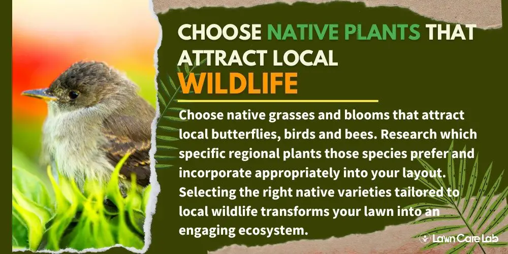 Choosing Native Plants for Wildlife-Friendly Lawn.