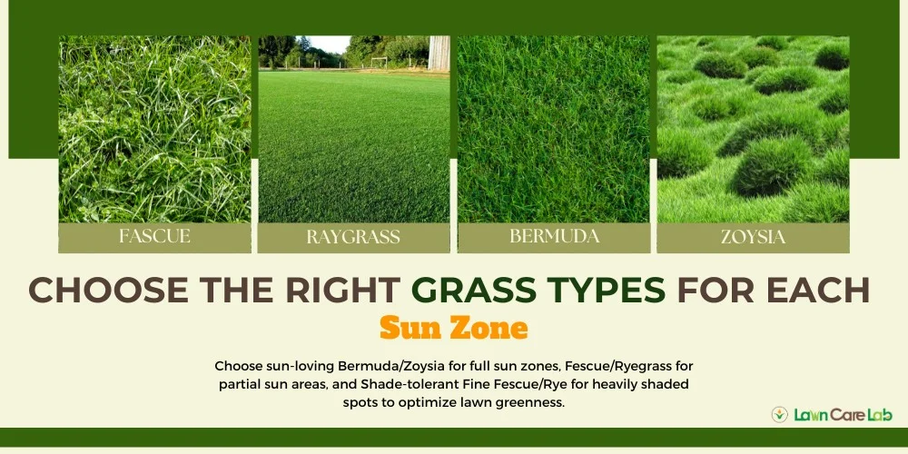Right Grass Types for Each Sun Zone.