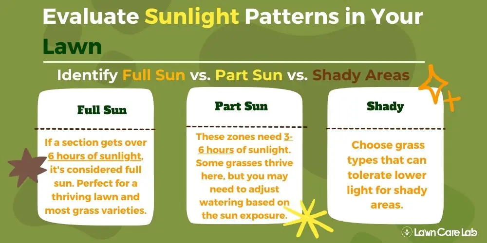 Factors to Look for Full Sun vs. Part Sun vs. Shady Areas.