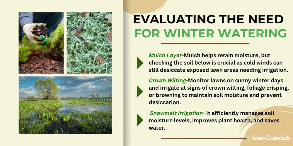 Evaluating the Need for Winter Watering.