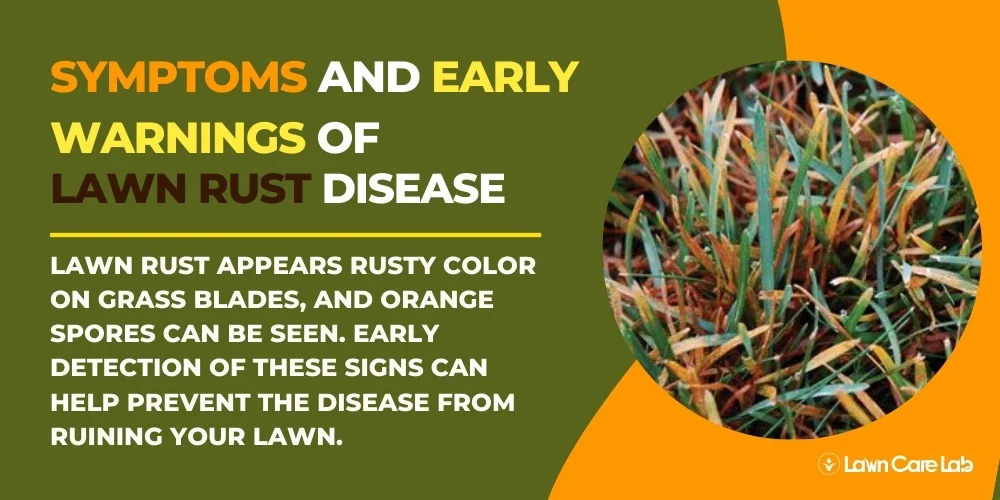Stop Lawn Rust in Its Tracks: Prevention and Treatment Tips