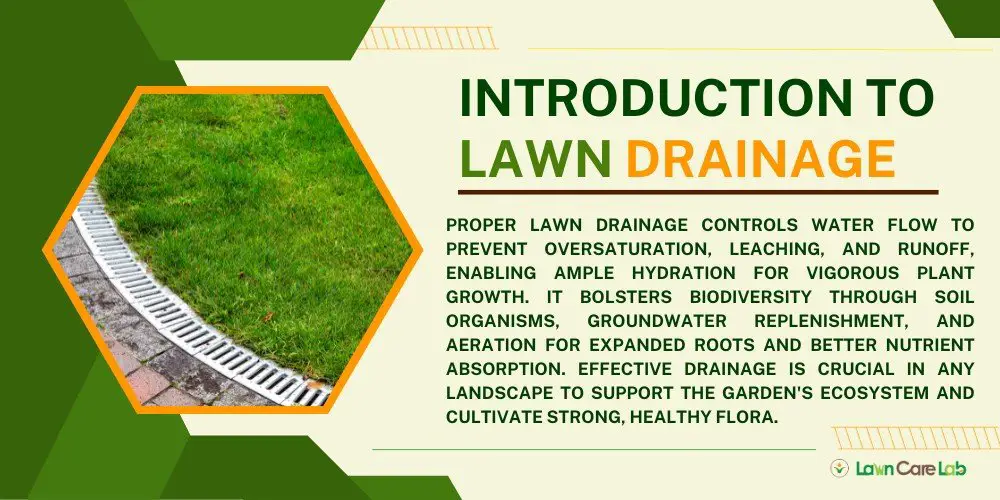 Introduction to Lawn Drainage.