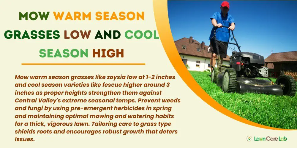Techniques of Mowing in Warm Season Grasses Low and Cool Season High.
