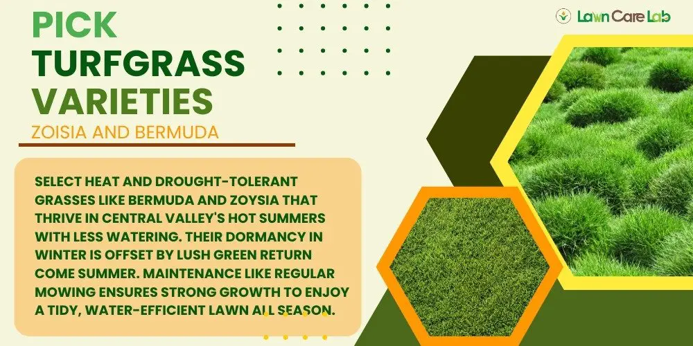 Turf grass Varieties That Can Handle Valley Summers.