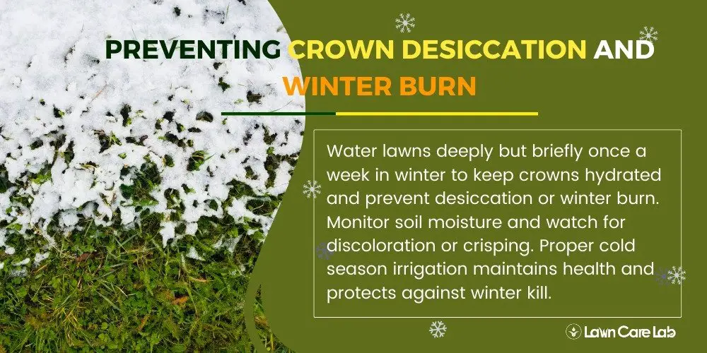 Way to Prevent Crown Desiccation and Winter Burn