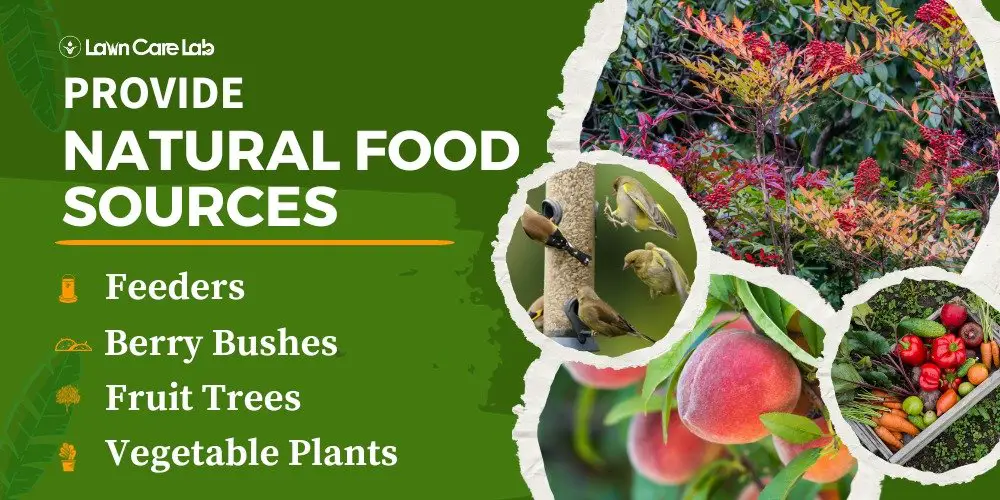 Providing Natural Food Sources Tips.