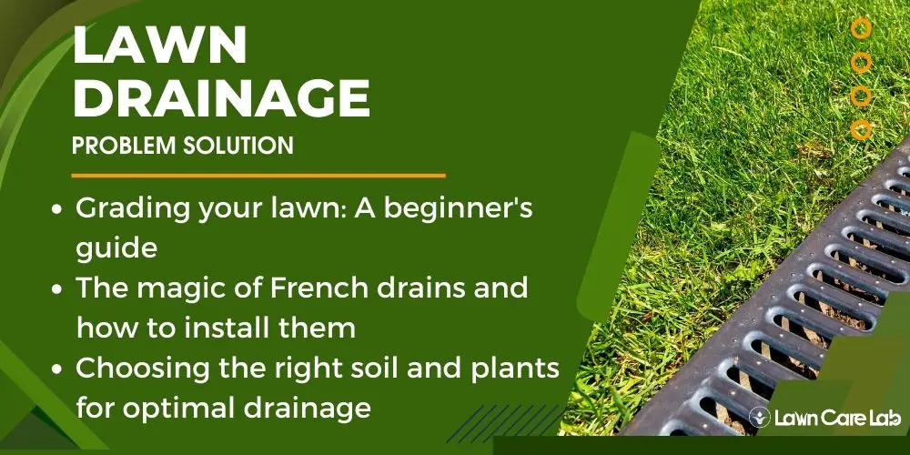 Solutions for Improved Lawn Drainage.