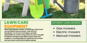 The Green Thumb Gear: Essential Lawn Care Equipment and Tools Guide ...