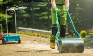 Lawn Roller Strategies for Rolling a Perfect Landscape - Lawn Care Lab