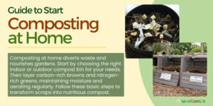 Composting 101: Transform Household Waste into Powerful Lawn Nutrients ...