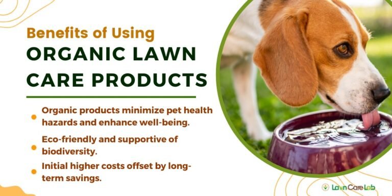 Why Choose Organic Lawn Care Products for Dogs - Lawn Care Lab