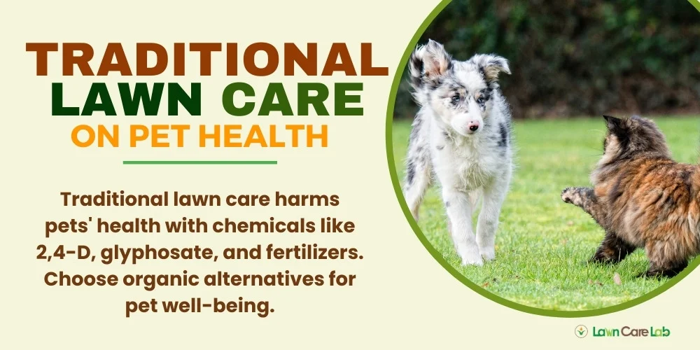 Traditional Lawn Care on Pet Health