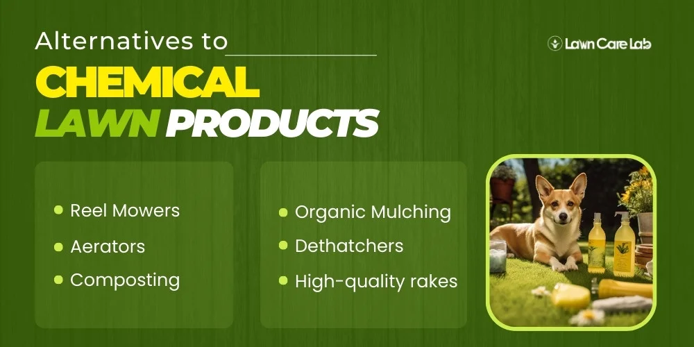 Alternatives to Chemical Lawn Products