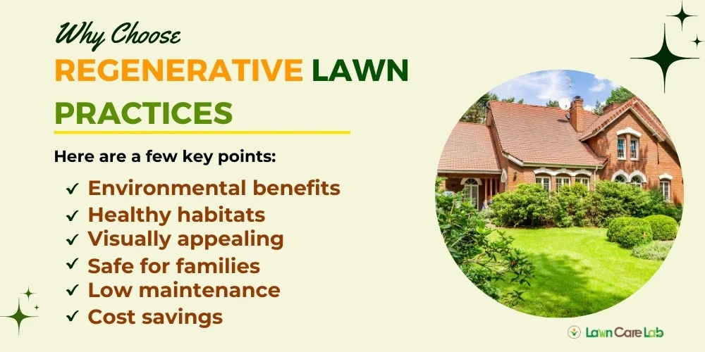 Key points on why choosing regenerative lawn practices 