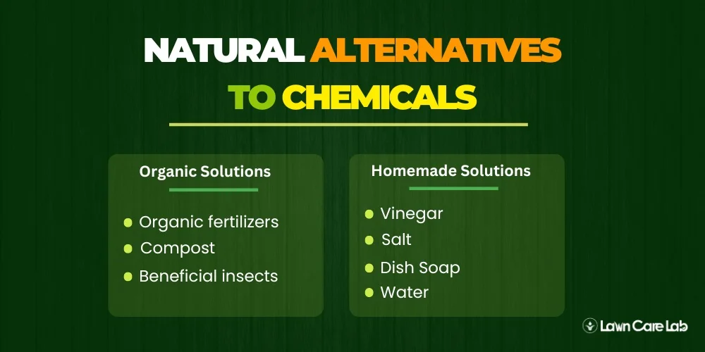 Natural Alternatives to Chemicals