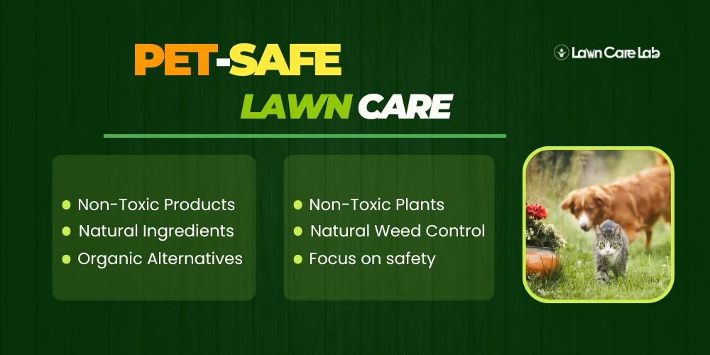 Pet-Safe Lawn Care