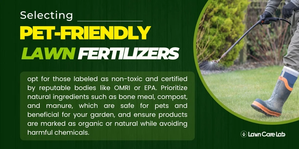 Selecting the Best Pet-Friendly Lawn Fertilizers