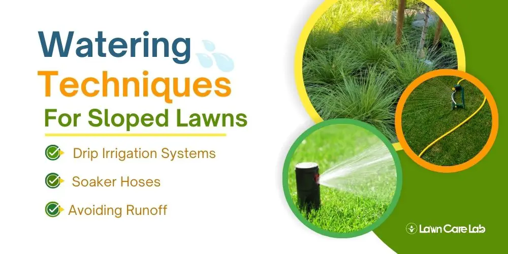 Watering Techniques for Sloped Lawns