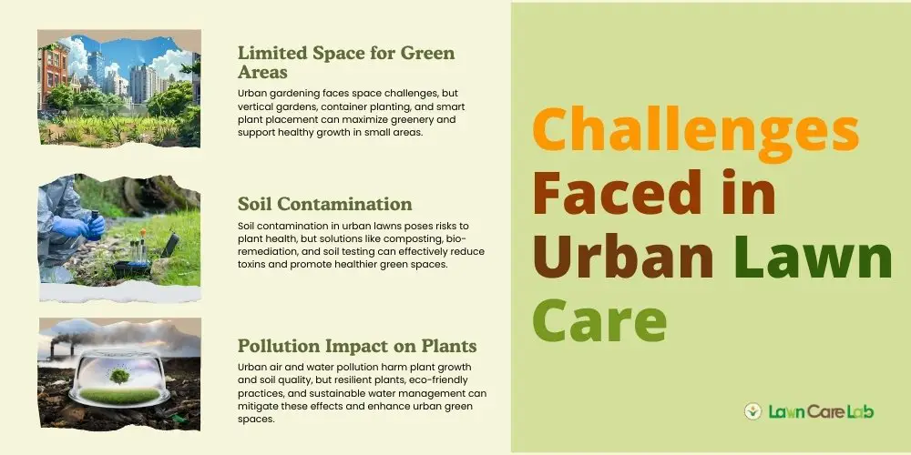 Challenges Faced in Urban Lawn Care