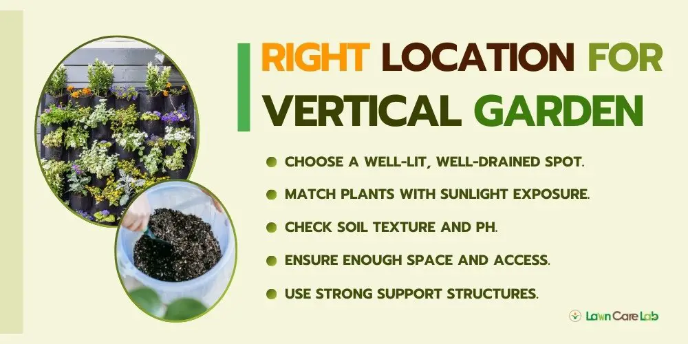 Choosing the Right Location for vertical gardening