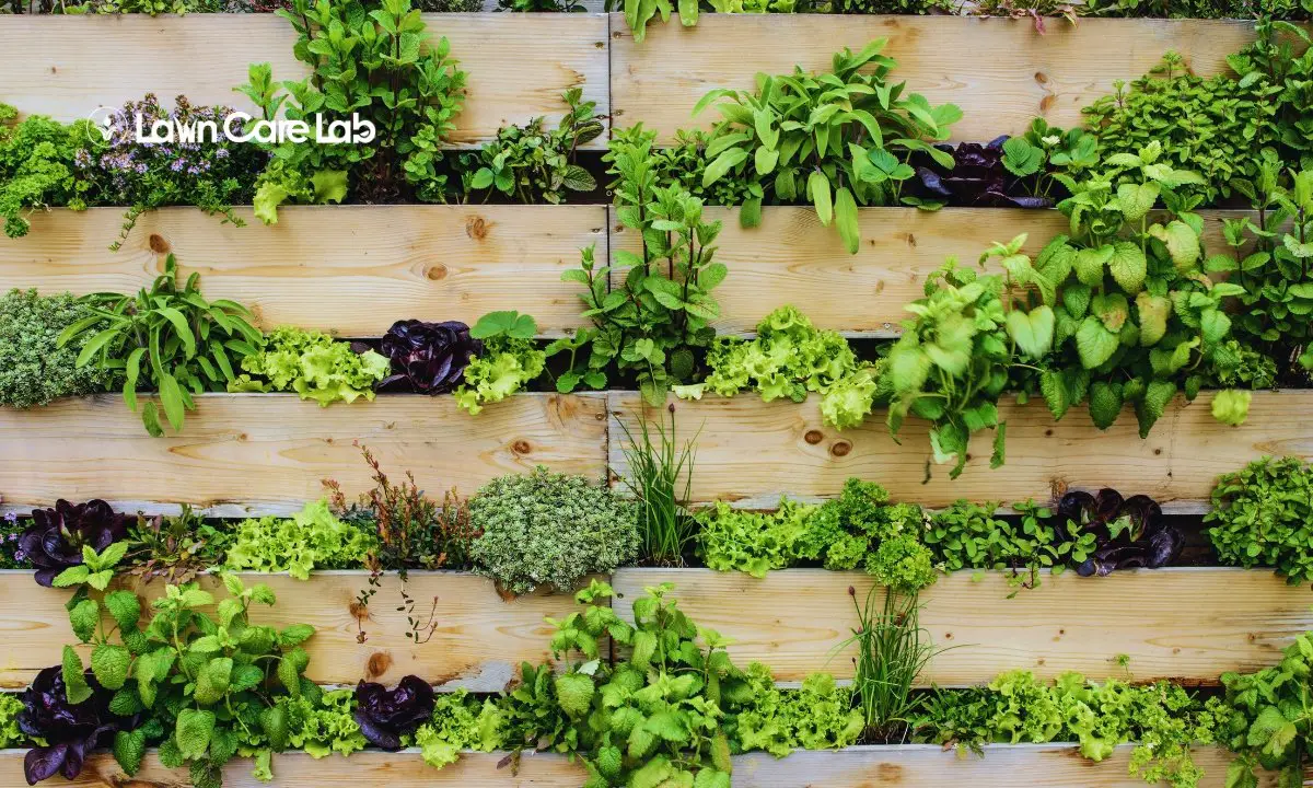 How to Incorporate Vertical Gardening Into Your Lawn Design