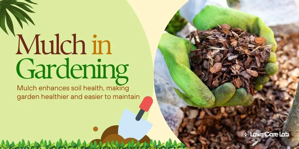 Importance of Mulch in Gardening