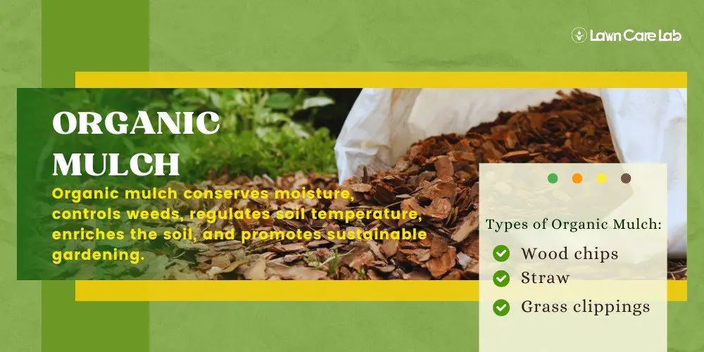 Organic Mulch