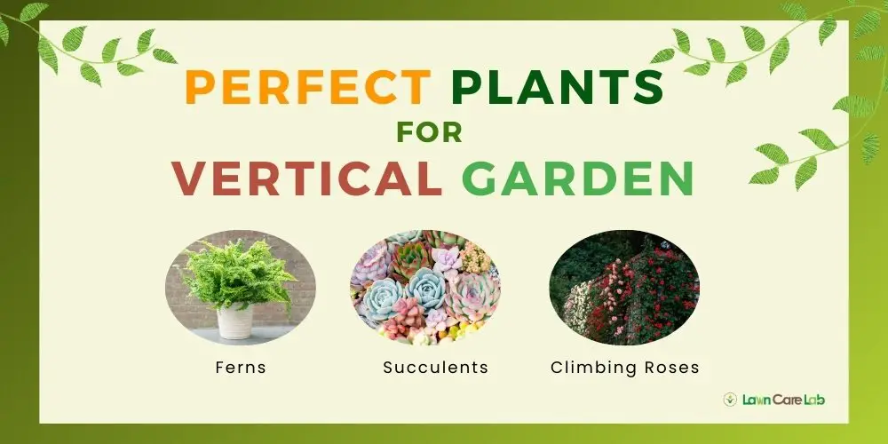 Picking the Perfect Plants for vertical Garden