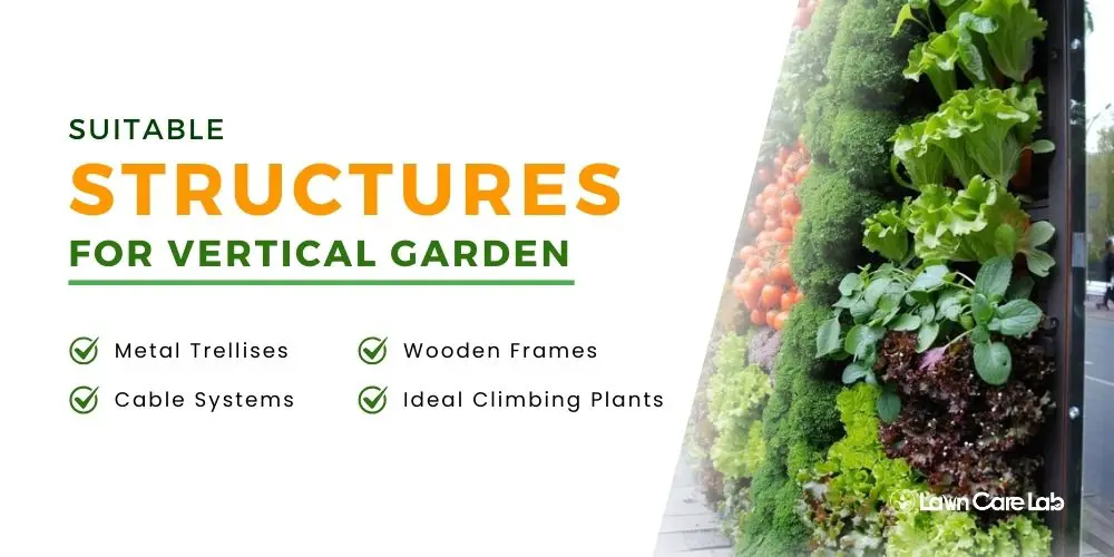 Selecting Suitable Structures for vertical garden