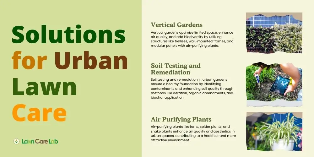 Solutions for Urban Lawn Care