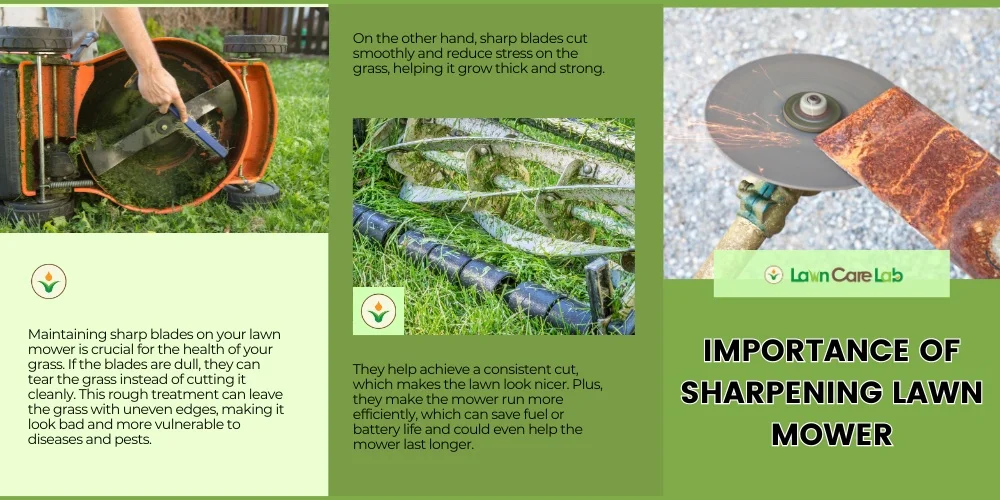 Importance of Sharpening Lawn Mower Blades