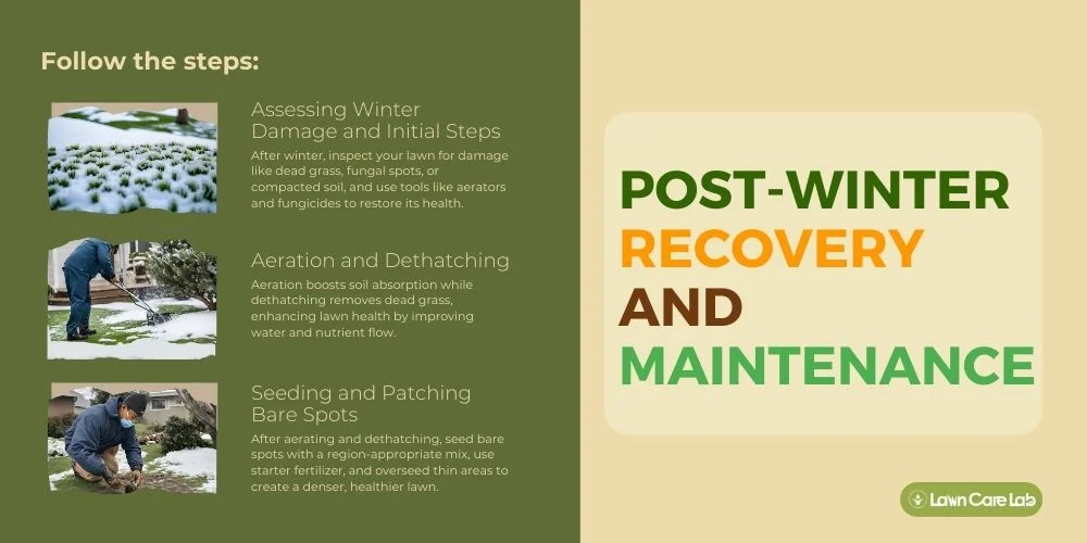 Post-Winter Recovery and Maintenance