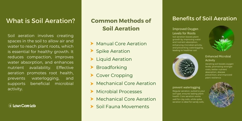 The Role of Aeration in Soil Health