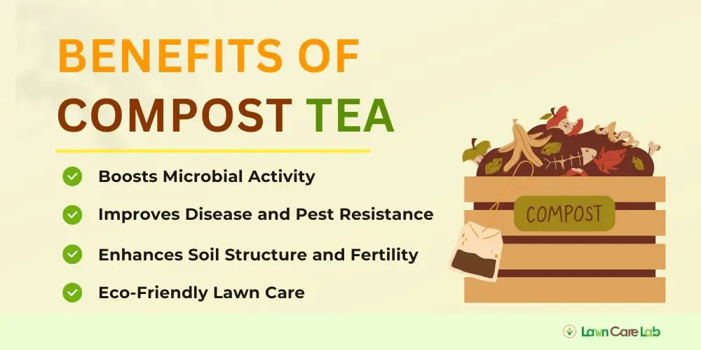 Benefits of Compost Tea