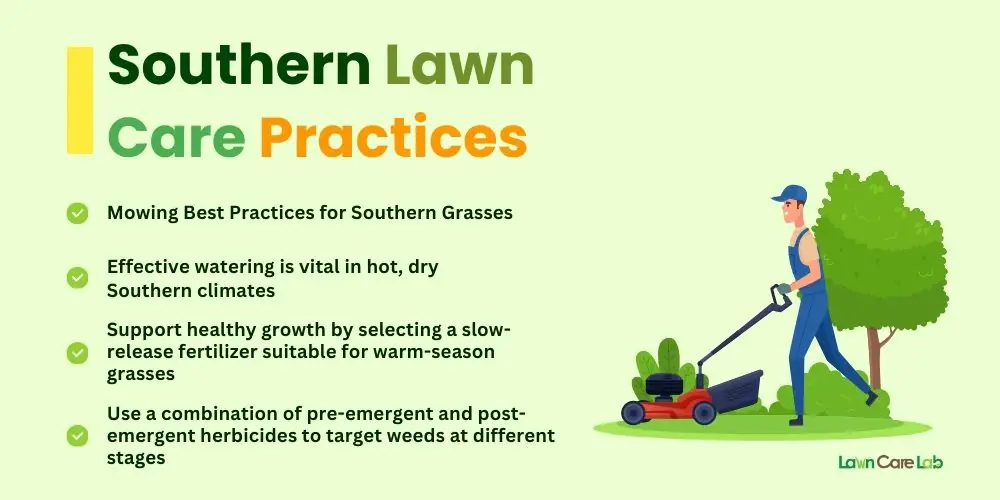 Essential Lawn Care Practices for the South