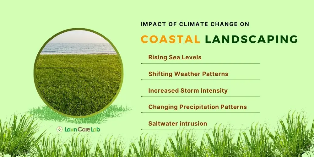 Impact of Climate Change on Coastal Landscaping (1)