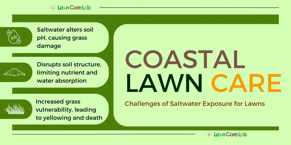 Introduction to Coastal Lawn Care